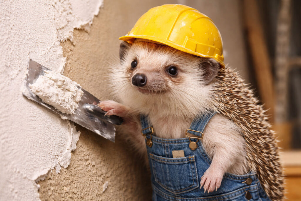 weber omietka ježko